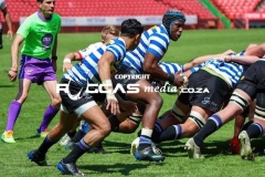 IMG_6209-Copy