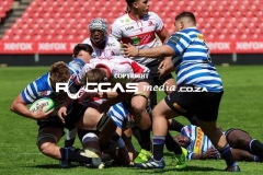 IMG_6227-Copy