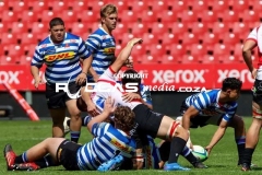 IMG_6264-Copy