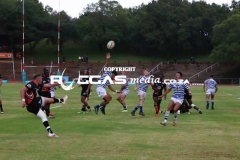 IMG_8754-Copy