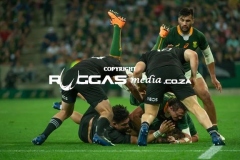 SPRINGBOKKE-VS-ALLBLACKSMOMBELA-5-AUG-2022-D-3-300-446-Copy