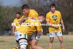 IMG_4599-Copy