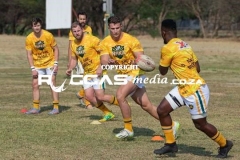 IMG_4685-Copy