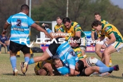 IMG_4774-Copy