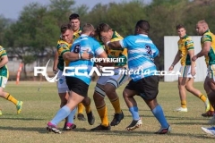 IMG_4806-Copy