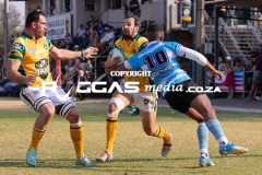 IMG_4855-Copy