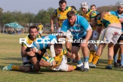 IMG_4870-Copy