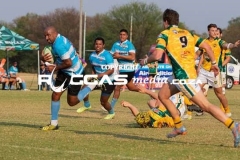 IMG_4895-Copy