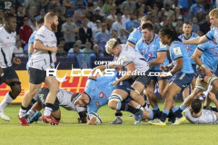 BullsvsSarERCR6-42-Copy