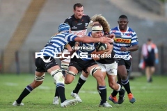 WP-vs-Sharks-40-Copy