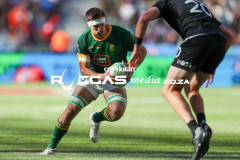 Blitzbokke-48-Copy
