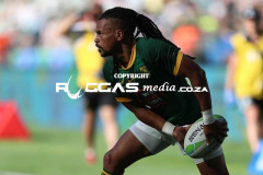 Blitzbokke-49-Copy