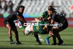 Blitzbokke-50-Copy
