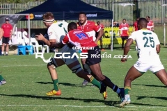 IMG_0530-Copy