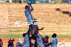 IMG_1547-Copy