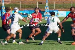 IMG_1617-Copy