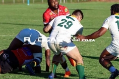 IMG_1656-Copy