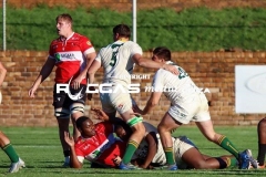 IMG_1688-Copy