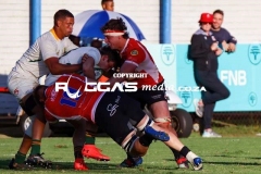 IMG_1709-Copy