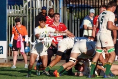 IMG_1710-Copy