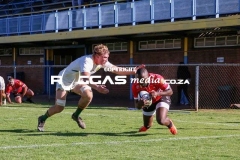 IMG_4296-Copy