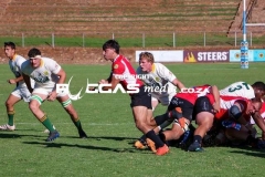 IMG_4303-Copy