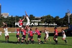 IMG_4314-Copy