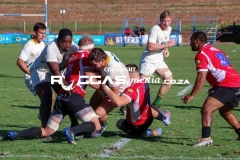 IMG_4316-Copy