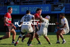 IMG_4341-Copy