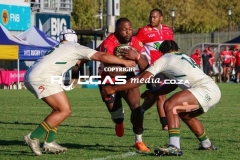 IMG_4343-Copy