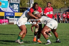 IMG_4344-Copy