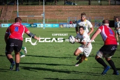 IMG_1464-Copy