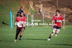 IMG_1484-Copy