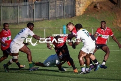 IMG_1520-Copy