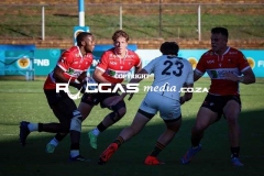 IMG_1524-Copy