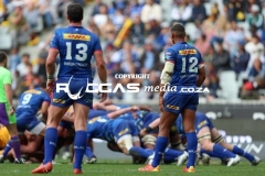 Stormers-vs-Ulster-35-Copy
