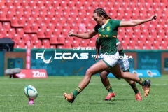 IMG_3022-Copy