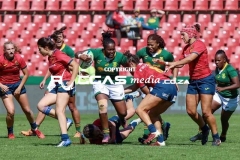 IMG_3047-Copy
