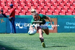 IMG_3067-Copy