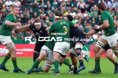 IMG_3512-Copy
