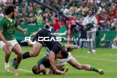 IMG_3556-Copy