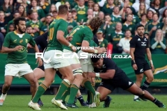 IMG_3576-Copy