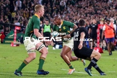 IMG_4957-Copy