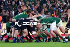 IMG_5058-Copy