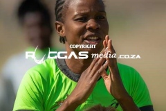 FROM-LIGHTROOM-259-Copy