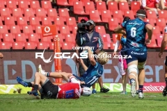 IMG_4601-Copy