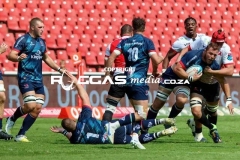 IMG_4610-Copy