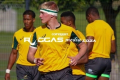 CARL-BATCH-1-EDIT_-68-Copy