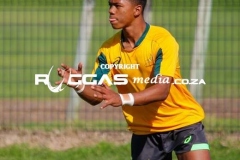 CARL-BATCH-1-EDIT_-82-Copy