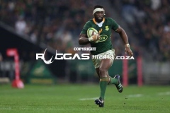 Bokke-vs-Wallis-28-Copy